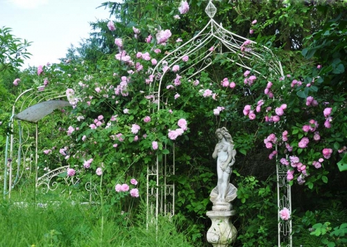 Oblúk na ruže Dolkar v krásnej záhrade našej zákazníčky