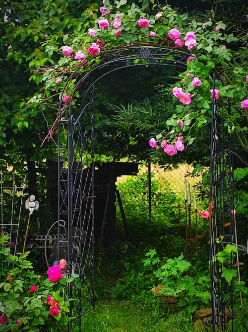 Pár fotografií z nádhernej romantickej záhrady našej milej zákazníčky.